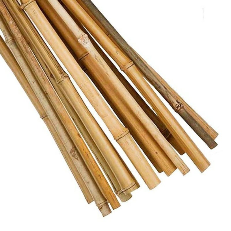 Apollo 76201 8ft Bamboo Garden Canes | Pease of Garforth